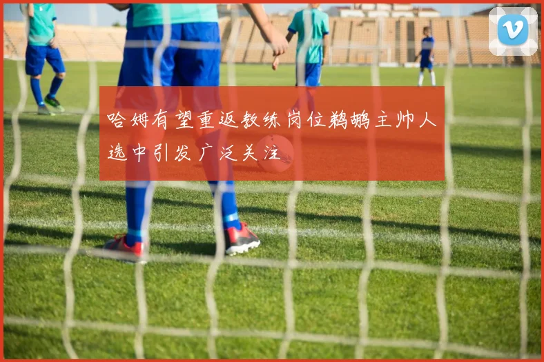 哈姆有望重返教练岗位鹈鹕主帅人选中引发广泛关注