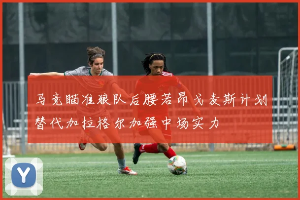 马竞瞄准狼队后腰若昂戈麦斯计划替代加拉格尔加强中场实力