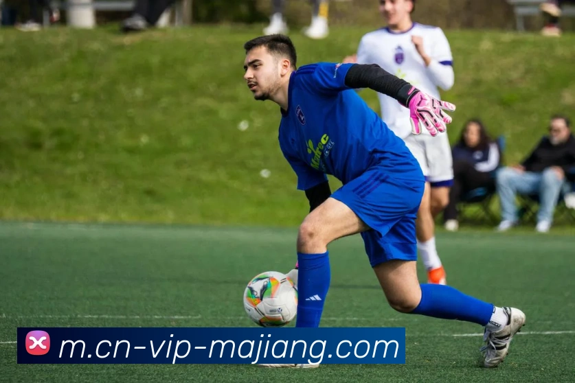 麻将胡了平台生态图